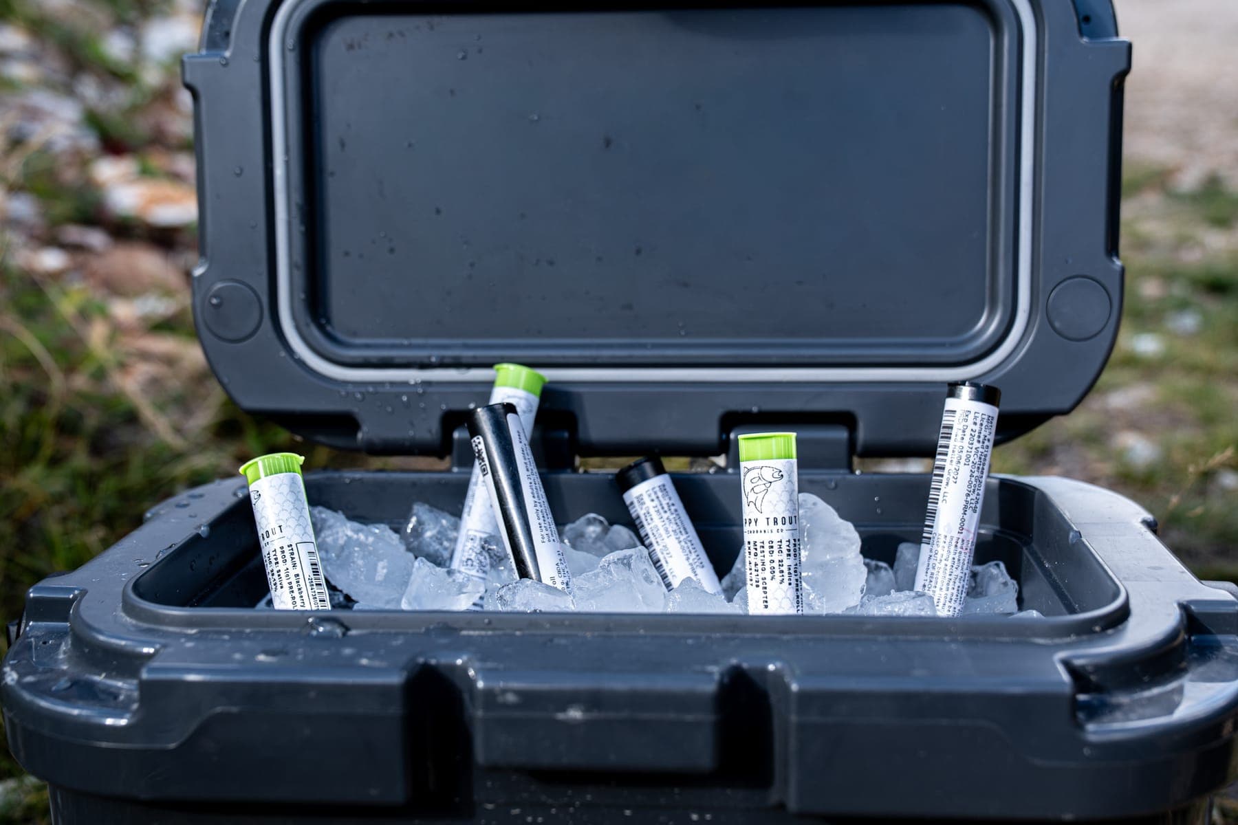 An open cooler on the tundra with sealed pre-roll tubes packed in ice