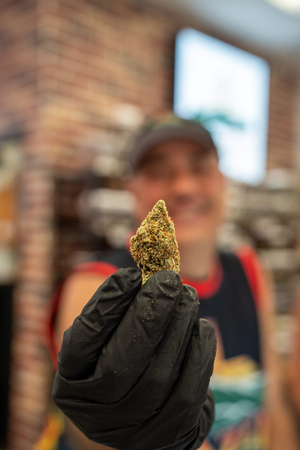 A single flower bud held up in a gloved hand, the counter soft behind it