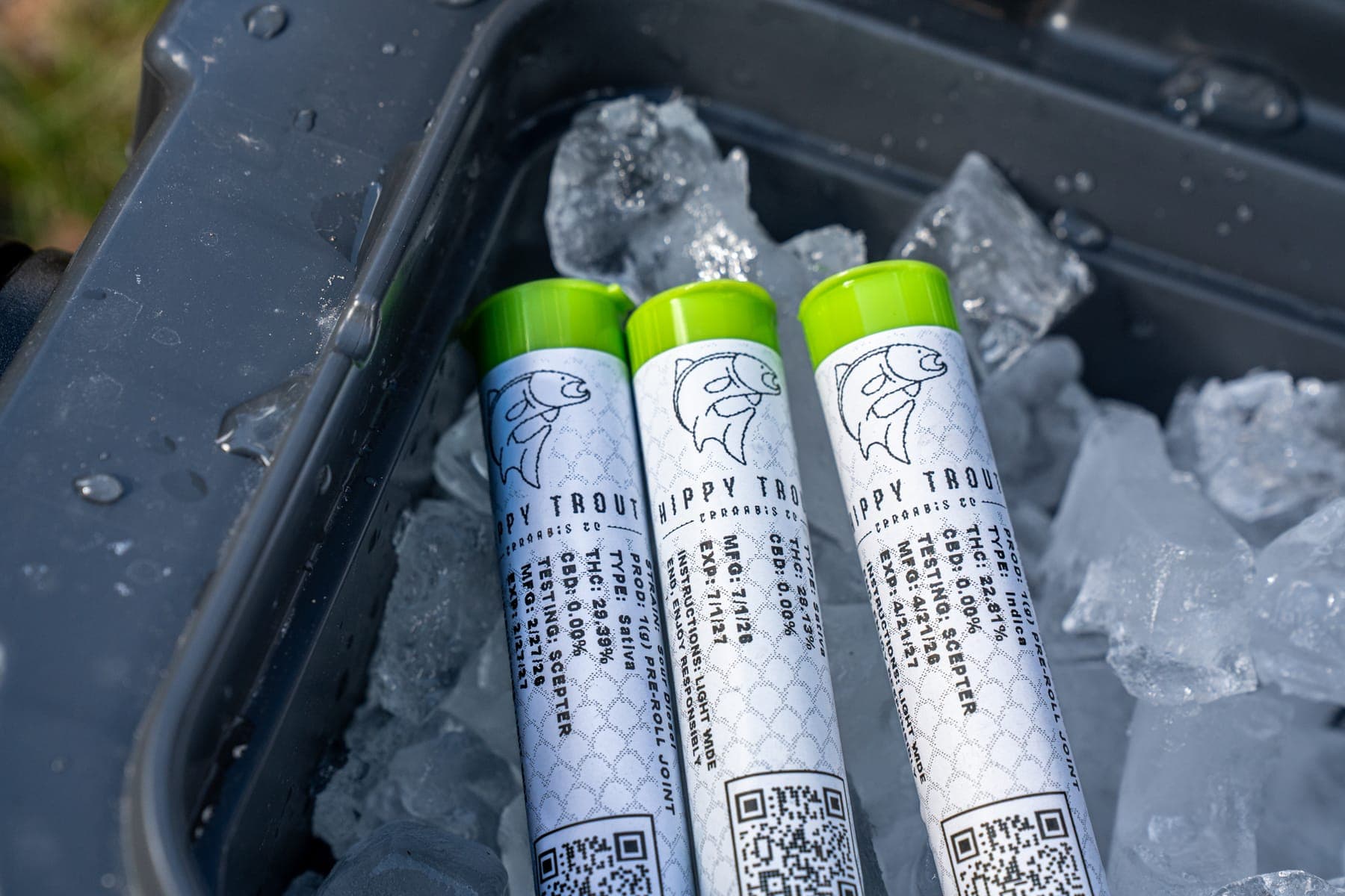 Pre-roll tubes packed in ice in a cooler
